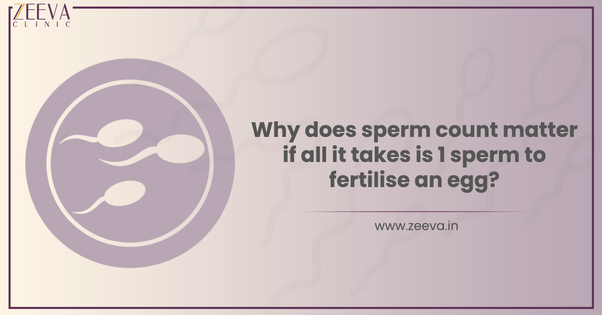 Why does sperm count matter if all it takes is 1 sperm to fertilise an egg?