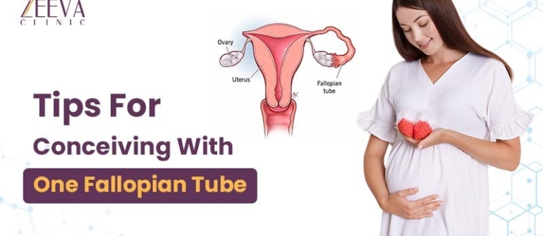 Tips For Conceiving With One Fallopian Tube