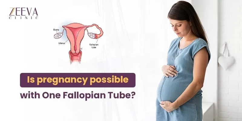Is Pregnancy Possible With One Fallopian Tube