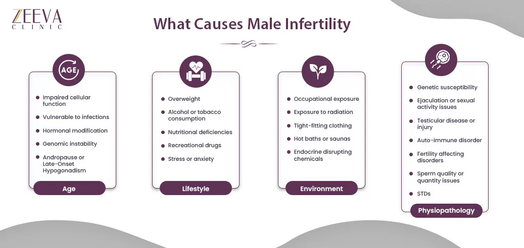 What causes Male Infertility